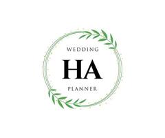 ha initiales lettre mariage monogramme logos collection, modèles minimalistes et floraux modernes dessinés à la main pour cartes d'invitation, réservez la date, identité élégante pour restaurant, boutique, café en image vectorielle vecteur