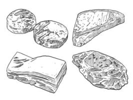 ensemble de croquis et éléments dessinés à la main steak de viande poitrine de porc et ensemble de collecte de viande de surlonge vecteur