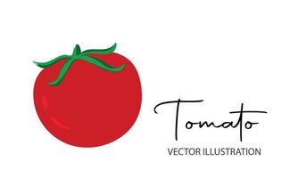 illustration de dessin animé simple simple isolé de tomate rouge. vecteur