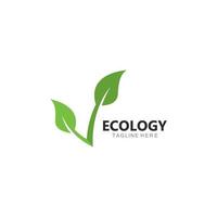 logo de feuille d'arbre écologique vecteur
