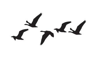 silhouette d'oiseaux en vol vecteur