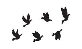silhouette d'oiseaux en vol vecteur