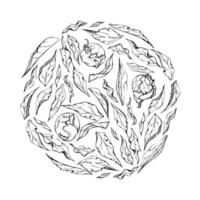 arrangement de couronne de cadre de cercle vectoriel dessiné à la main avec des fleurs, des bourgeons et des feuilles de pivoine. isolé sur fond blanc. conception d'invitations, cartes de mariage ou de voeux, papier peint, impression, textile