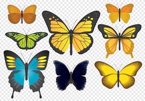 Papillons colorés vecteur