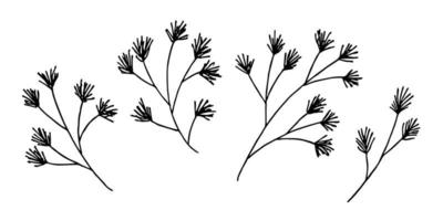 branches d'épinette dessinées à la main. brindille de jeu de doodle de conifères. éléments de conception de noël et d'hiver vecteur