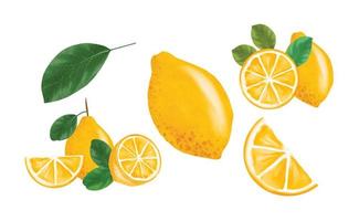 ensemble de clipart aquarelle citron, une collection de clipart aquarelle dessinés à la main de citron frais pour les décorations et les impressions vecteur