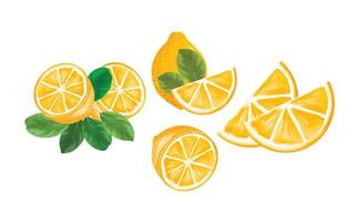 ensemble de clipart aquarelle citron, une collection de clipart aquarelle dessinés à la main de citron frais pour les décorations et les impressions vecteur