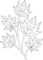 feuilles d'automne illustration vectorielle dessinée à la main page à colorier et livres isolés sur fond blanc clipart, vecteur