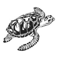 tortue de mer en noir et blanc vecteur ligne art illustration