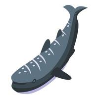 vecteur isométrique d'icône de requin baleine de mer. poisson de mer