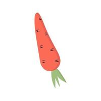 carottes simples sur fond blanc. illustration vectorielle vecteur