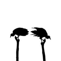 silhouette de l'oiseau vautour noir, basée sur ma photographie comme référence d'image, emplacement à nickerie, suriname, amérique du sud. illustration vectorielle vecteur