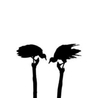 silhouette de l'oiseau vautour noir, basée sur ma photographie comme référence d'image, emplacement à nickerie, suriname, amérique du sud. illustration vectorielle vecteur