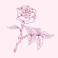 roses dessinées à la main avec feuille. dessin de fleur rose. illustration de fleur rose dans un style dessiné à la main. jolie fleur. contour rose. vecteur