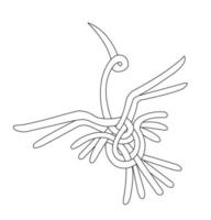 illustration de conception d'oiseau vecteur