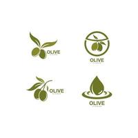 ensemble d'illustration vectorielle logo olive vecteur