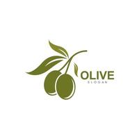 ensemble d'illustration vectorielle logo olive vecteur