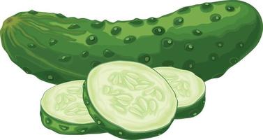 concombre vert. image d'un concombre vert tranché mûr. produit végétarien vert. illustration vectorielle isolée sur fond blanc vecteur