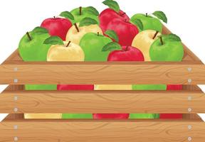 pommes. pommes mûres dans une boîte en bois. une boîte avec des pommes colorées. fruits mûrs. produits végétariens bio. produits de la ferme. illustration vectorielle isolée sur fond blanc