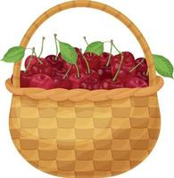 cerise. cerises mûres dans un panier en osier. panier avec des cerises. panier avec des baies mûres. produits vitaminés. illustration vectorielle isolée sur fond blanc vecteur