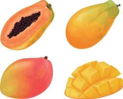 mangue et papaye. fruits exotiques. mangue mûre. papaye juteuse. fruits tropicaux. illustration vectorielle vecteur