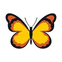 papillon insecte avec motif sur l'icône des ailes vecteur