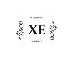 initiale xe logo féminin. utilisable pour les logos nature, salon, spa, cosmétique et beauté. élément de modèle de conception de logo vectoriel plat.