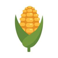 icône épi de maïs plat vecteur isolé