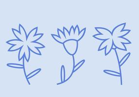 ensemble de bleuets. fleurs sauvages dans le style de contour. vecteur