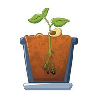 icône de culture de plante de haricot, style cartoon vecteur