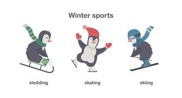 trois pingouins de noël de dessin animé drôle mignon ski, luge, patinage. illustration vectorielle plane avec sports d'hiver ou loisirs de noël. cartes éducatives ou de voeux vecteur