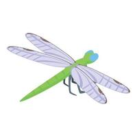 vecteur isométrique d'icône de libellule d'insecte. aile volante
