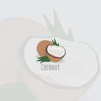 illustration vectorielle de noix de coco avec conception de feuille de noix de coco pour la conception de modèle de fond de restaurant vecteur