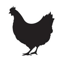 poulet de la silhouette d'icône de vecteur de vue de côté. animal d'oiseau de ferme avec un style plat simple noir isolé sur fond blanc uni. nature coq ayam jago.