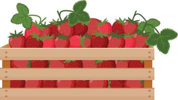 une illustration lumineuse d'été représentant une boîte en bois avec des fraises mûres rouges et des feuilles vertes. la récolte récoltée de fraises juteuses dans une boîte en bois. fond d'illustration vectorielle vecteur