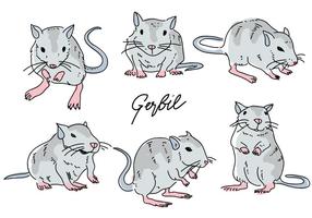Gerbil Mouse Pose Hand Drawn Doodle Vector Illustration