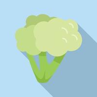 vecteur plat d'icône de brocoli alimentaire. salade de plantes