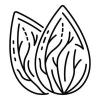 icône de noix d'amande fraîche, style de contour vecteur