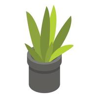 icône de pot de plante de bureau, style isométrique vecteur