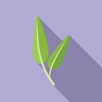 vecteur plat d'icône de romarin de sauge. plante à feuilles