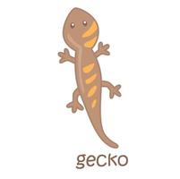 alphabet g pour gecko vocabulaire illustration vecteur clipart