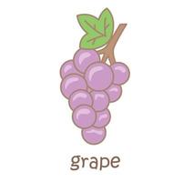 alphabet g pour illustration de vocabulaire de raisin clipart vectoriel