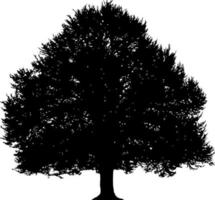 vecteur de silhouette d'arbre pour le site Web, pour l'impression. graphiques vectoriels.