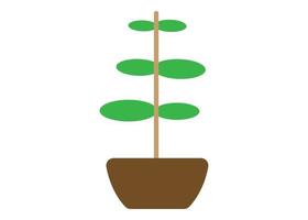 modèle de conception de logo icône plante vecteur isolé
