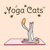 journée internationale du yoga. yoga des chats. pose de yoga et exercice. illustration vectorielle plate colorée dessinée à la main. vecteur