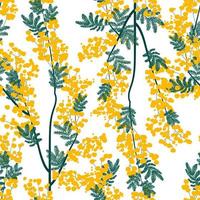 motif botanique harmonieux de fleurs et de feuilles de mimosa jaune sur fond blanc. fond avec des plantes à fleurs élégantes. illustration vectorielle vecteur