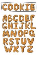 ensemble de dessins animés vectoriels de biscuits au gingembre alphabet vacances isoler sur fond blanc vecteur