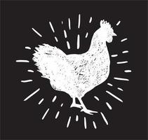 illustration dessinée à la main de poulet, illustration vectorielle. vecteur