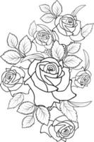 un livre de coloriage de fleur rose dessiné à la main d'illustration vectorielle artistique, narcisse de fleurs de fleur isolé sur fond blanc, collection botanique de branche de feuille d'art de croquis pour adultes et enfants vecteur