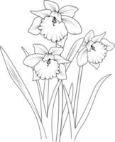 fleurs de fleur de jonquille et illustration vectorielle de branche. illustration vectorielle de dessin à la main pour le livre de coloriage ou la page d'art à l'encre gravée en noir et blanc, pour les enfants ou les adultes. vecteur